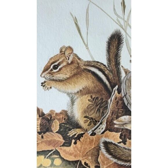 Jim Oliver Signed Print Eastern Chipmunks Framed Wildlife Art Plate 20 - Picture 5 of 15